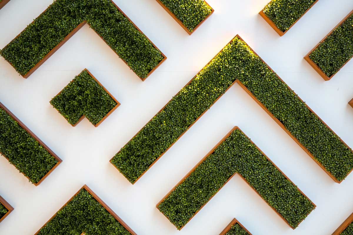 Overhead shot of plant maze.